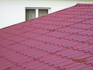 acoperis camin sannicoara