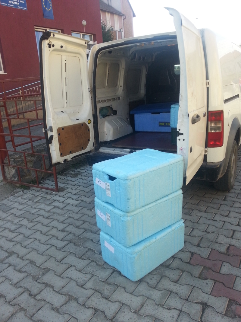 La grădinița din Apahida se face evaziune fiscală! De frica fiscului, firma care aduce hrana copiilor a reziliat&nbsp;contractul