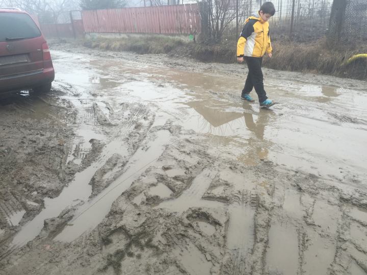 12646838_758423034302616_2412588787376801880_o