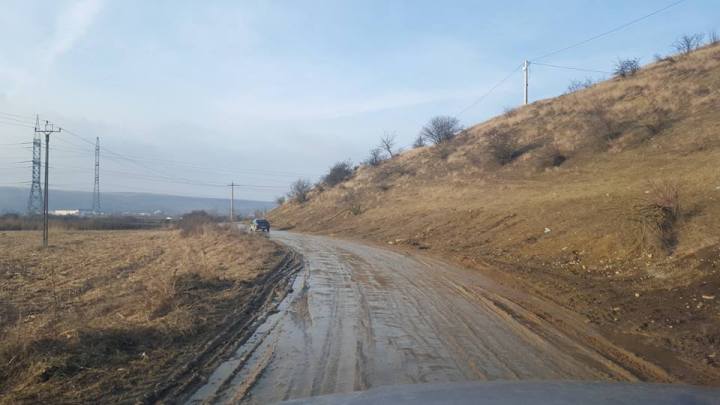 12654150_1678848355717668_6067589987748513385_n