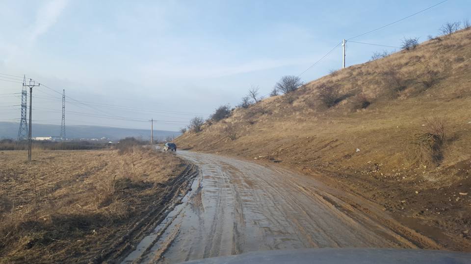 12654150_1678848355717668_6067589987748513385_n