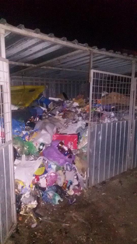 La Apahida, șobolanii urcă la etajul trei. VEZI ce a pățit un tânăr din&nbsp;APAHIDA