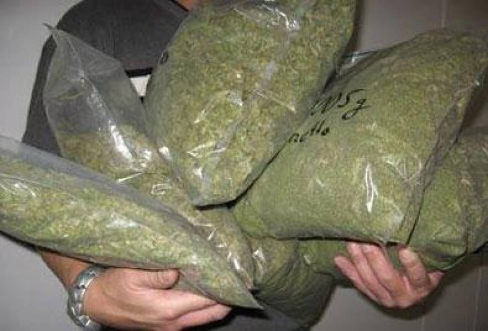 trafic-de-droguri-politistii-au-confiscat-300-kilograme-de-canabis-10746