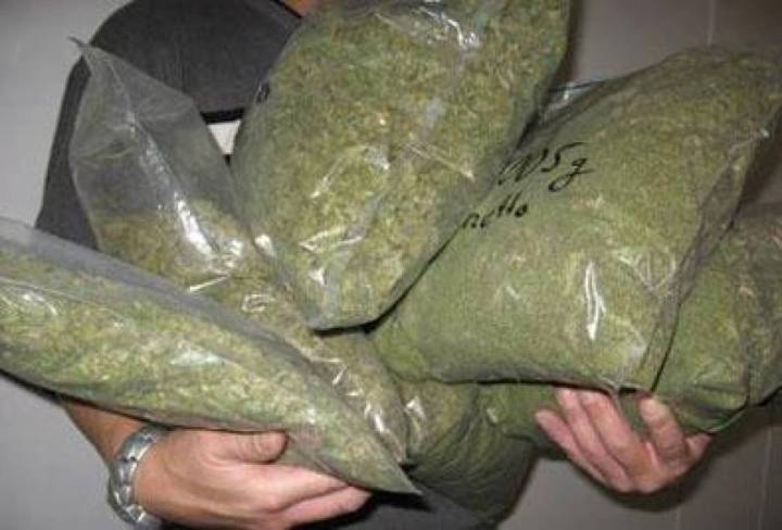 trafic-de-droguri-politistii-au-confiscat-300-kilograme-de-canabis-10746