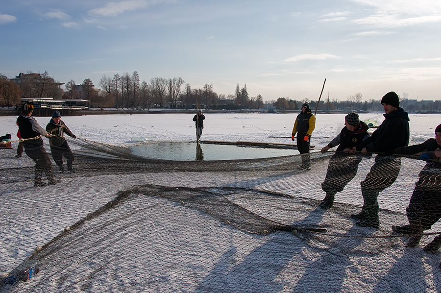 La Apahida, stațiile de autobuz sunt de pe vremea comunismului dar Primăria cumpără un&nbsp;NĂVOD