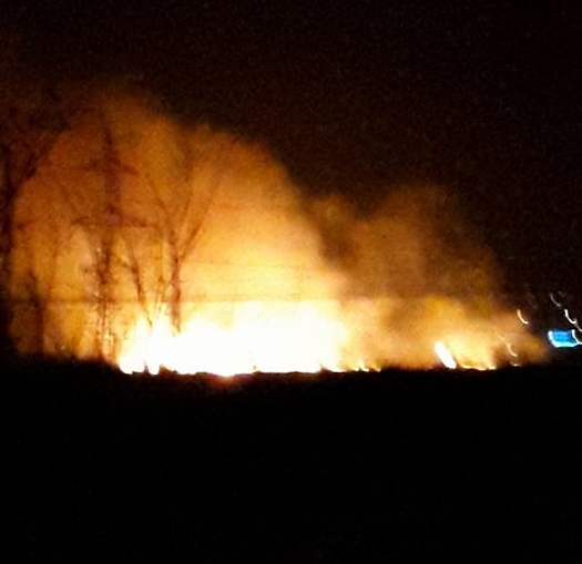 Incendiu de vegetație cu flăcări înalte de zece metri, la Apahida