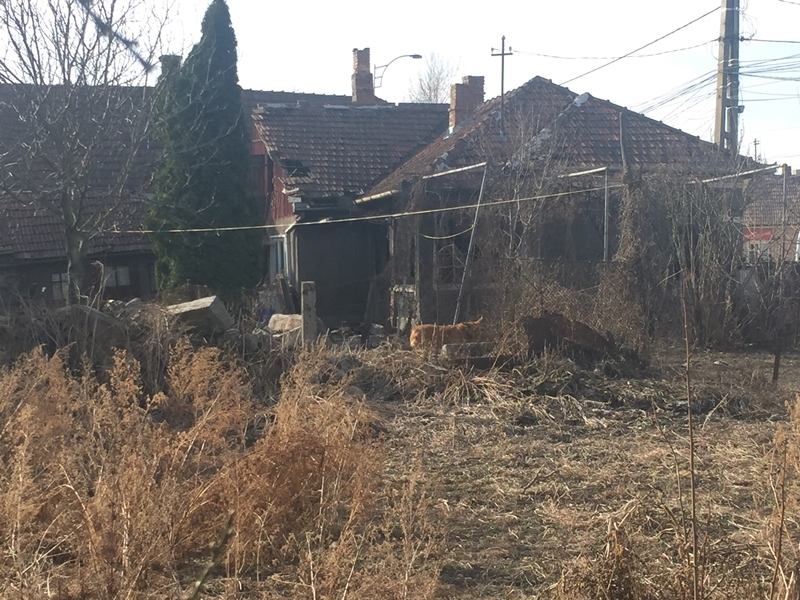 Le-a dat foc casei părinților pentru că nu a primit bani de droguri