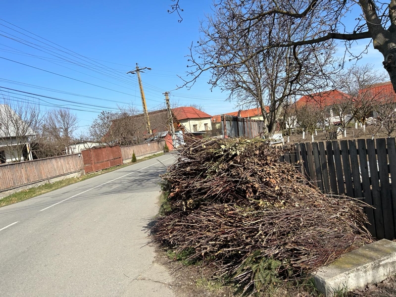Când se vor ridica crengile de la poartă. Primăria Apahida a făcut&nbsp;anunțul
